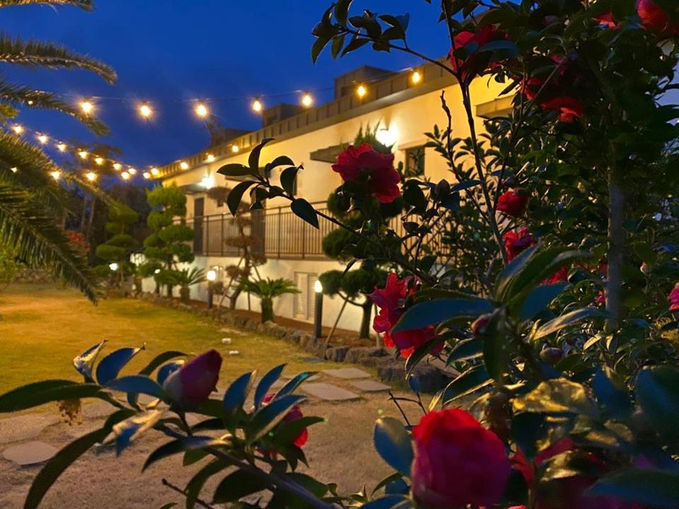 Jeju Abientot Villa Seogwipo Dış mekan fotoğraf